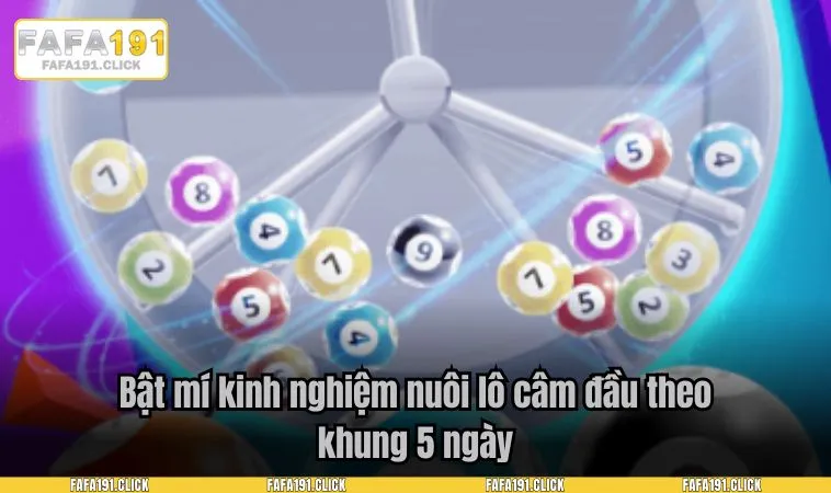 Bật mí kinh nghiệm nuôi lô câm đầu theo khung 5 ngày