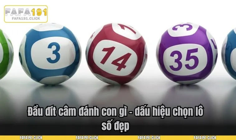 Đầu đít câm đánh con gì – dấu hiệu chọn lô số đẹp