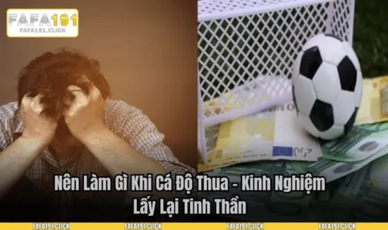 Nên Làm Gì Khi Cá Độ Thua - Kinh Nghiệm Lấy Lại Tinh Thần