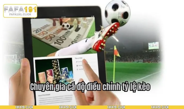 Chuyên gia cá độ điều chỉnh tỷ lệ kèo